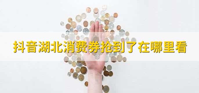 抖音湖北消费券怎么用