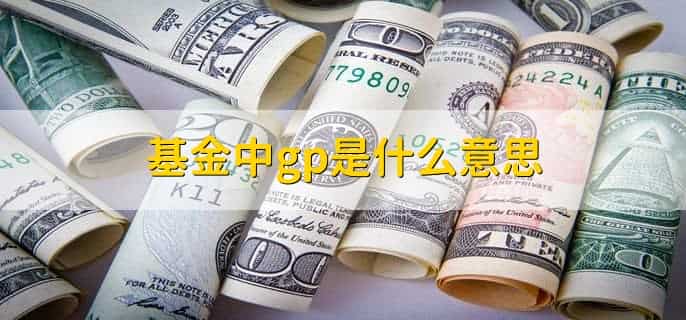 基金中gp是什么意思，普通合伙人