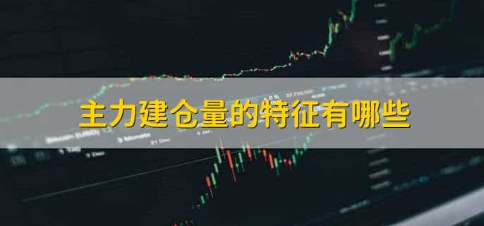 建仓量怎么找
