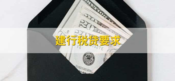 建行税贷要求