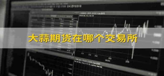 大蒜期货在哪个交易所