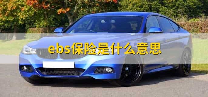 ebs保险是什么意思