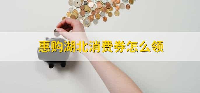 惠购湖北消费券怎么领