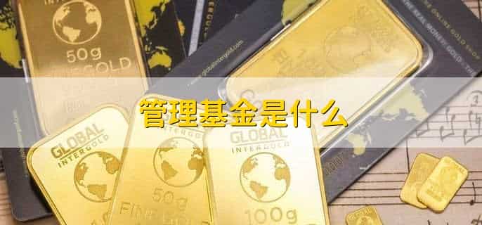 基金投资的优缺点