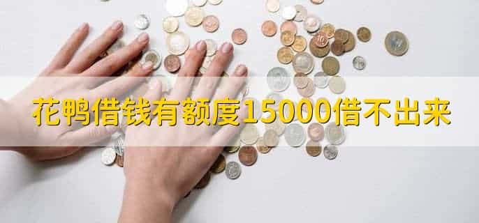 花鸭借钱有额度15000借不出来