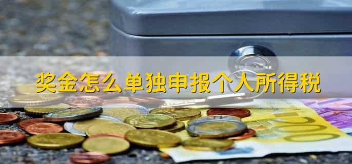 奖金怎么单独申报个人所得税,有以下五步