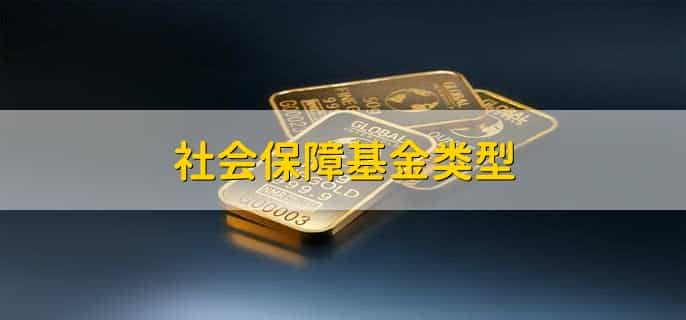 社会保障基金类型，分以下五点