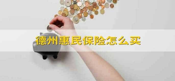 德州惠民保险怎么买