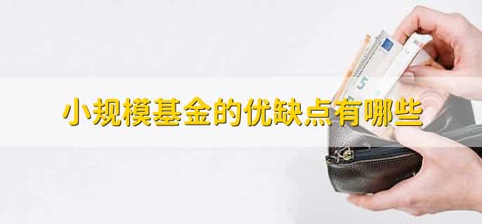 什么是基金预算拨款