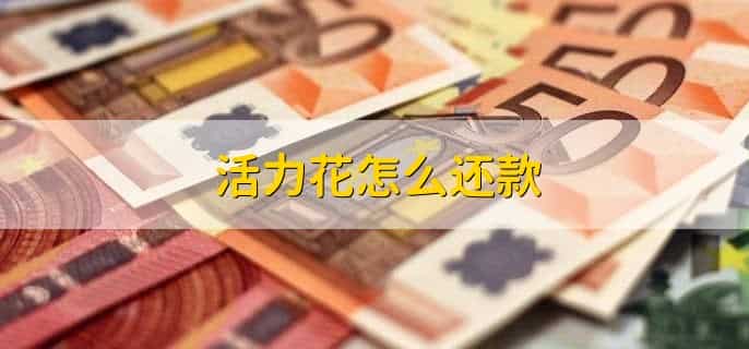 活力花是正规借贷平台吗