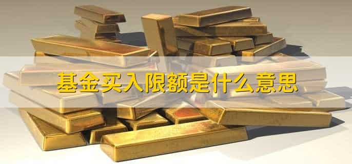 基金的买入费率是什么