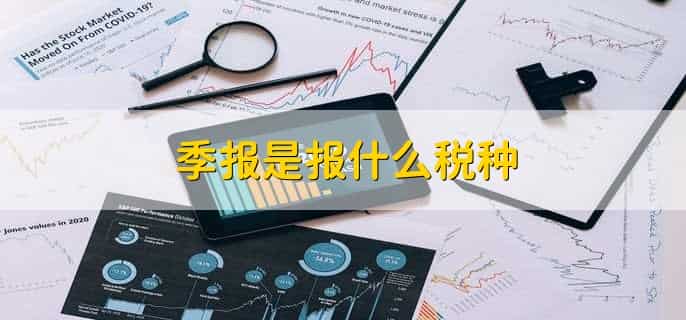 深市一季报预披露时间规则