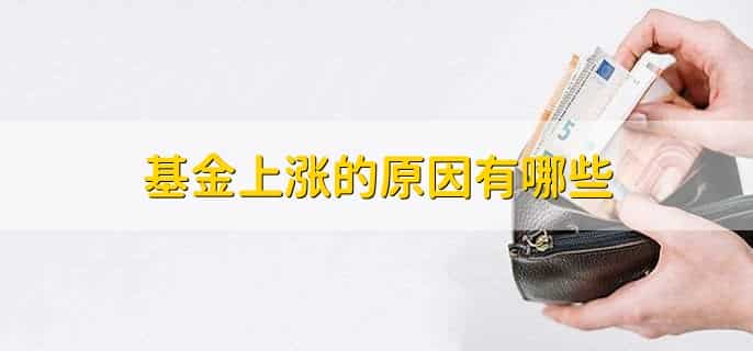 什么是基金投资策略