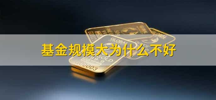 基金牌照是什么