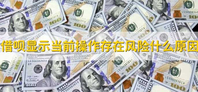 借呗显示当前操作存在风险怎么办