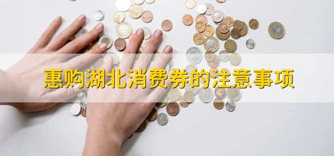 惠购湖北消费券怎么领