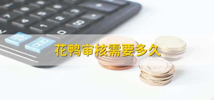 花鸭审核需要多久