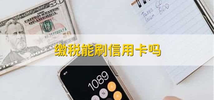 缴税能刷信用卡吗,可以