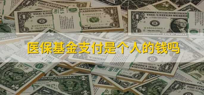什么是医保基金