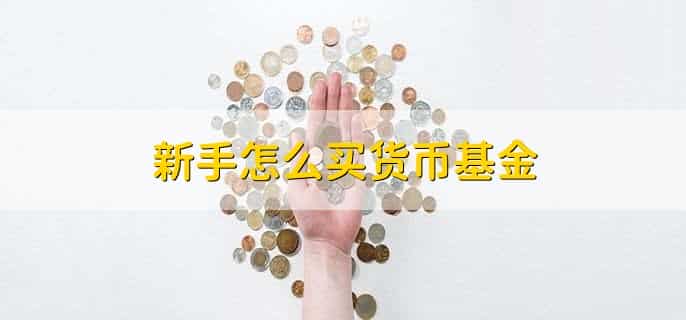 新手怎么买货币基金