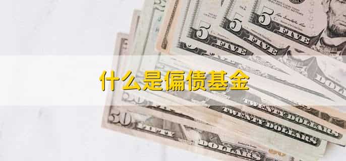 什么是偏债基金,投资于债券市场为主的基金