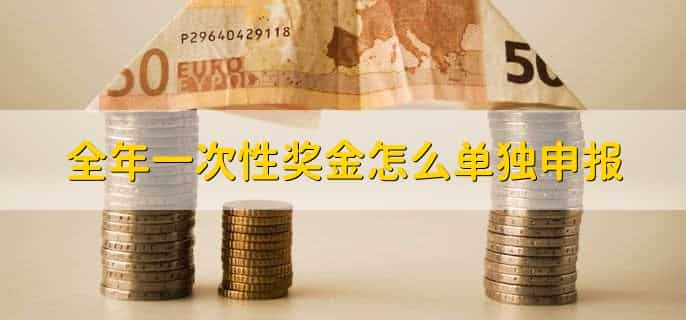 全年一次性奖金怎么单独申报
