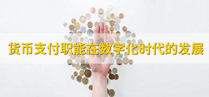 货币支付职能发挥作用的场所有