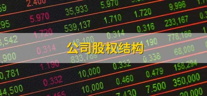 公司股权结构,有以下6点