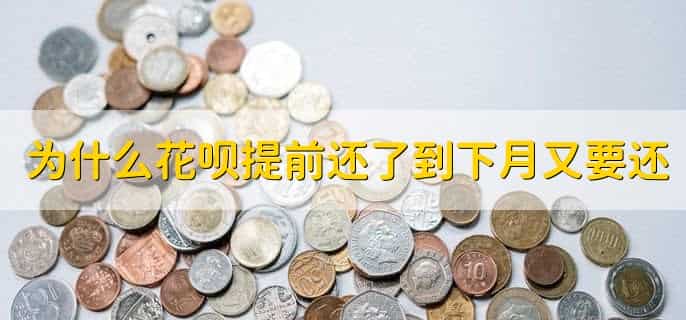 为什么花呗提前还款了还用不了