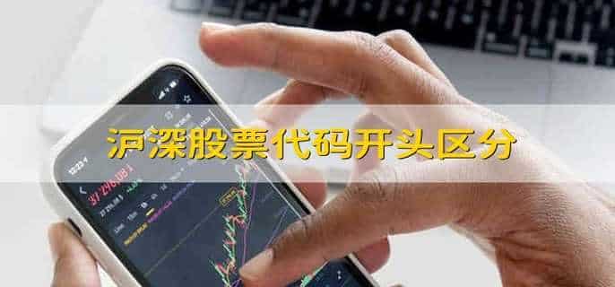 沪深股票代码开头区分