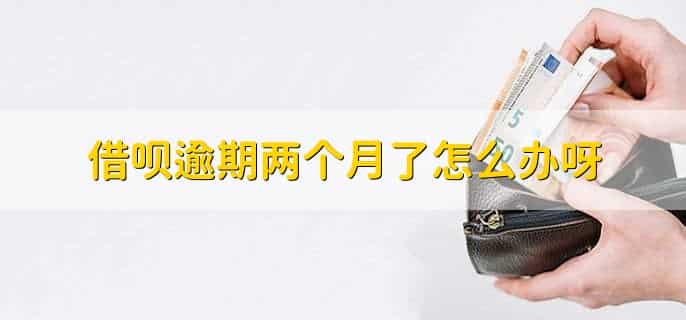 借呗逾期两个月了怎么办呀
