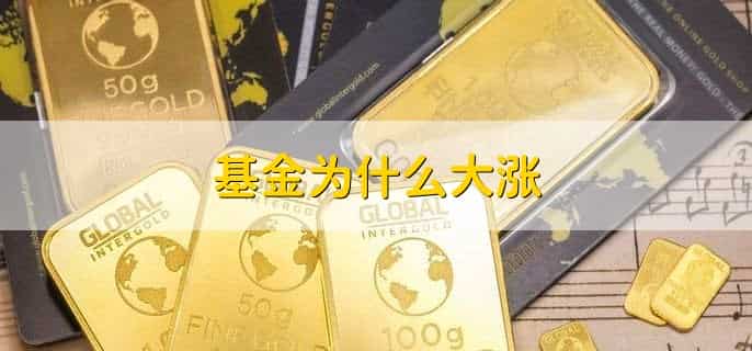 基金为什么大涨,分以下五点