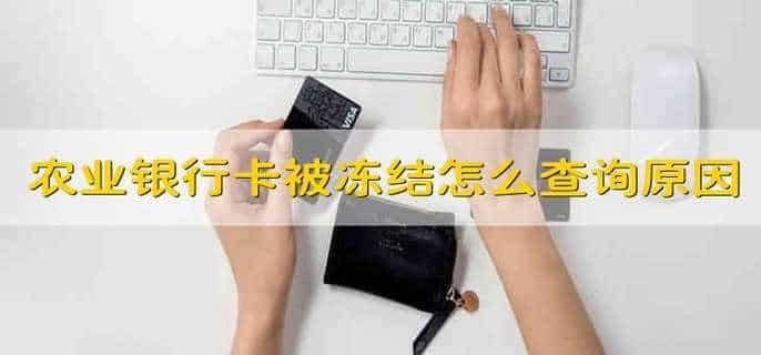 农业银行卡被冻结怎么查询冻结原因