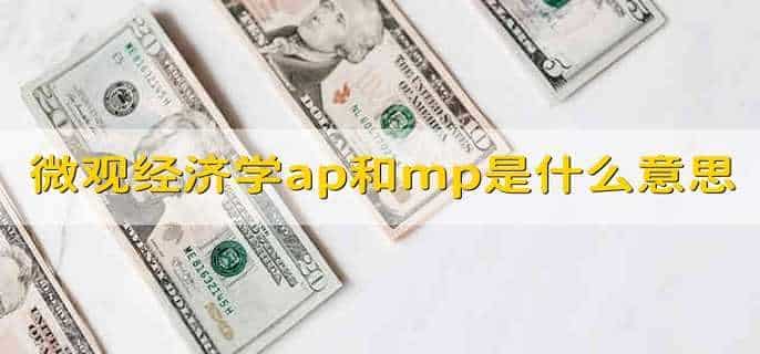 微观经济学ap和mp是什么意思
