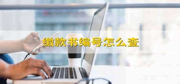 缴款书编号怎么查