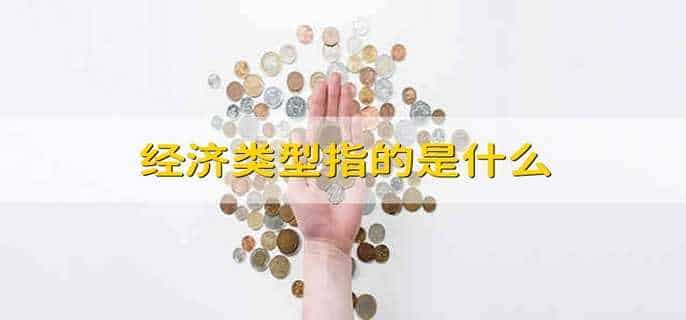 经济类型指的是什么