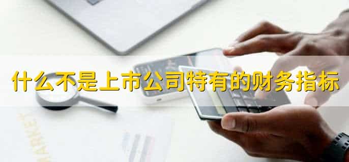 什么不是上市公司特有的财务指标