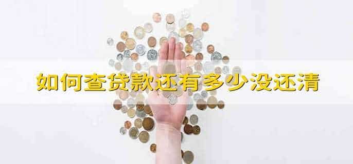 如何查贷款还有多少没还清
