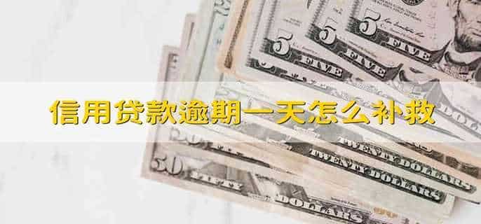 信用贷款逾期一天怎么补救