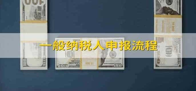 一般纳税人申报流程