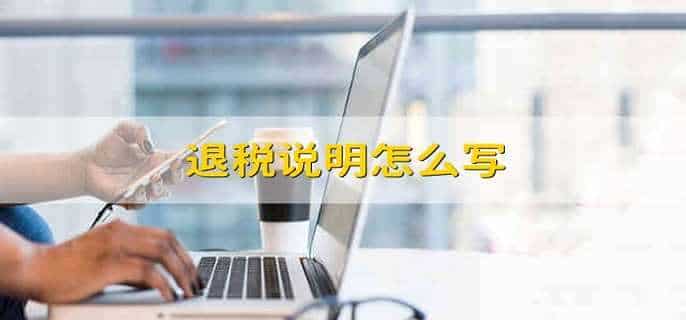 退税说明怎么写