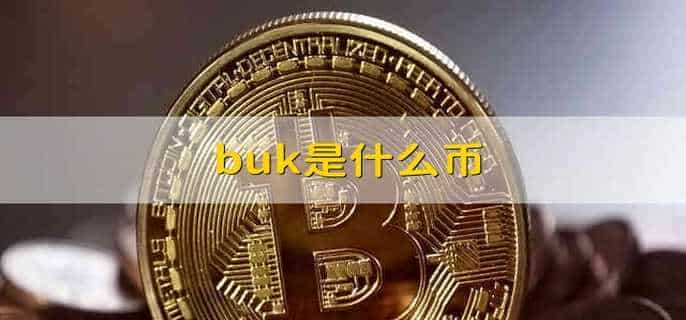 buk是什么币