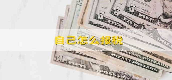 自己怎么报税