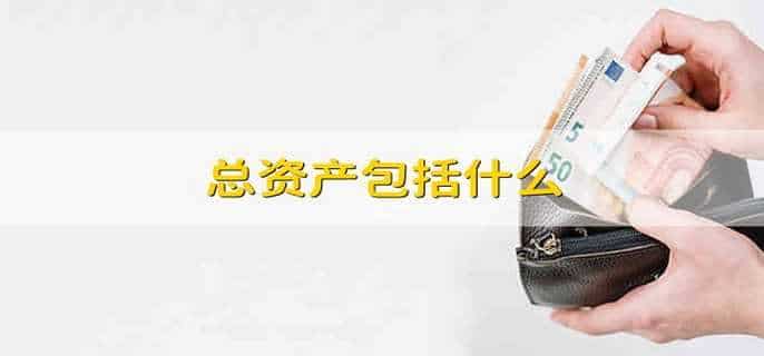 总资产包括什么