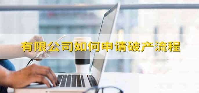 有限公司如何申请破产流程