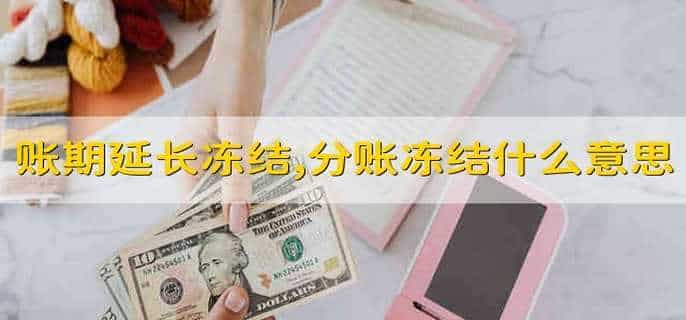 交易账期延长冻结,分账冻结什么意思
