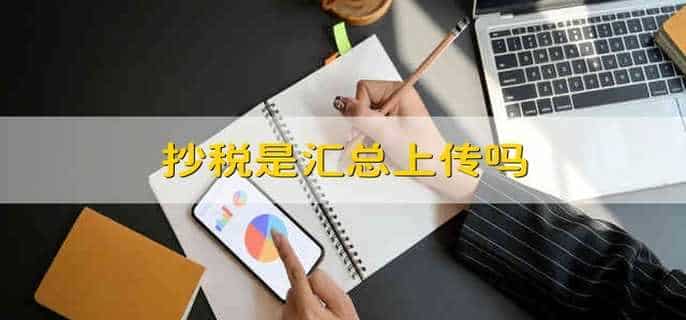 抄税是汇总上传吗