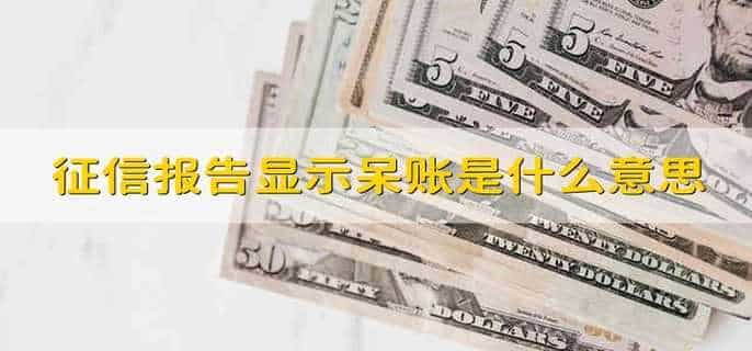 征信报告显示呆账是什么意思