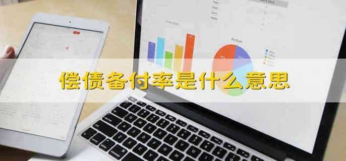 偿债备付率是什么意思