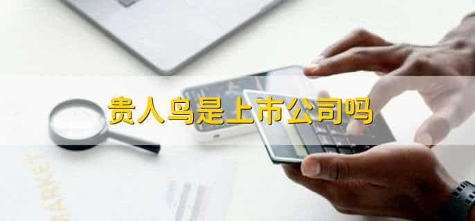 贵人鸟是上市公司吗
